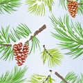 Seamless texture Christmas and New Year decoration pine cones golden and snow pine cones fir tree branches vintage vector illustr Royalty Free Stock Photo