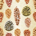 Seamless texture Christmas and New Year decorations Four pine cones larch cones natural and golden pine cones and snow pine cones Royalty Free Stock Photo