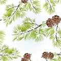 Seamless texture conifer Branch Pine Royalty Free Stock Photo