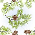 Seamless texture conifer Branches Pine with pine cones winter snowy natural background vector illustration editable Royalty Free Stock Photo