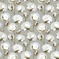 Seamless texture with Cotton flower leaves Royalty Free Stock Photo