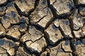 Seamless texture of cracked dry ground Royalty Free Stock Photo