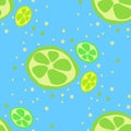 Seamless texture. Decorative background design with the sliced citrus summer fruits. Colorful vector pattern for textile, Royalty Free Stock Photo