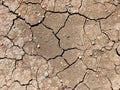 Seamless Texture dried mud cracks, high quality