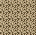 Seamless texture of a dry, arid land