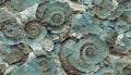 Seamless texture of elaborate and unique calcified blue ammonite sea shell spirals - generative AI