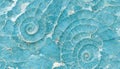 Seamless texture of elaborate and unique calcified blue ammonite sea shell spirals - generative AI