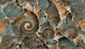 Seamless texture of elaborate and unique calcified blue ammonite sea shell spirals - generative AI