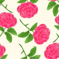 Seamless texture flower pink rose cracks in the porcelain vintage vector