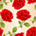 Seamless texture flower red rose on a nature background twig with leaves vintage vector illustration editable