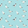 Seamless texture with flying seagulls. Royalty Free Stock Photo