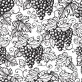 Seamless texture grapes vine ornament. Royalty Free Stock Photo