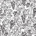 Seamless texture grapes vine ornament. Royalty Free Stock Photo