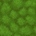 Seamless texture grass, background green bushes for wallpaper. Royalty Free Stock Photo