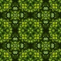 Seamless texture of green leaves,  For eg fabric, wallpaper, wall decorations Royalty Free Stock Photo