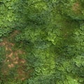 Seamless texture of green leaves,  Seamless background Royalty Free Stock Photo