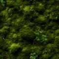 Seamless texture of green moss in the forest Royalty Free Stock Photo