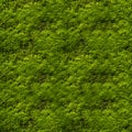 Seamless texture of green moss on the wall. Royalty Free Stock Photo