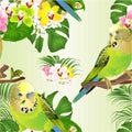 Seamless texture green parakeets Budgerigars home pet , or budgie and Orchids cymbidium with tropical palm and philodendron