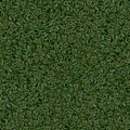 Seamless texture of Gunpowder green tea