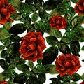 Seamless texture with image of rose with leaves