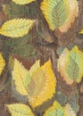 Seamless texture imitating a pastel pattern depicting autumn yellow leaves on a branch