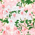 Seamless texture light pink and white rhododendron branch vintage vector illustration editable