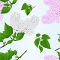 Seamless texture lilac twigs multicolored and light pink with flowers and leaves on a blue background vintage vector illustration Royalty Free Stock Photo