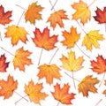 Seamless texture with maple leaves