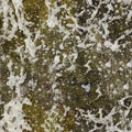 Seamless texture - natural water splash pattern