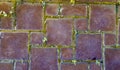 Seamless texture of old environmentally friendly blocks with green grass growing in. Old paving stone background on a Royalty Free Stock Photo