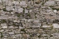 Seamless texture of an old gray stone wall covered with moss for the designer Royalty Free Stock Photo