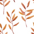 Seamless texture of the orange autum branches on white