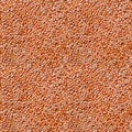 Seamless texture of orange lentil groats, top view