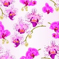 Seamless texture Orchids purple and purple white Phalaenopsis stems with flowers and buds closeup vintage vector editable illu Royalty Free Stock Photo