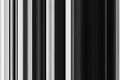 seamless texture pattern with black white zebra stripes on monochrome background Royalty Free Stock Photo