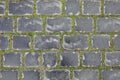 Seamless texture of a paving stone track on a green grass. baku azerbaijan in winter. Old city