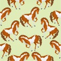 Seamless texture piebald horses vector