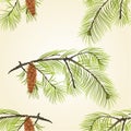 Seamless texture pine branch with pinecones Vector Royalty Free Stock Photo