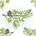 Seamless Texture Pine Tree And Pine Cone Branch Winter Snowy Natural Background Vitage Vector Illustration Editable
