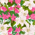 Seamless texture pink rhododendrons and Twig of apple tree with flowers blue background vintage vector illustration editable