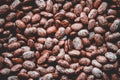 Seamless Texture pinto beans, high quality Royalty Free Stock Photo
