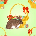 Seamless texture rabbit and wicker vector Royalty Free Stock Photo