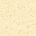 Seamless Texture Rice Paper Royalty Free Stock Photo