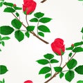 Seamless texture rosebud red stem with leaves and blossoms vintage vector Royalty Free Stock Photo