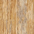 Seamless texture - rotting wood pattern Royalty Free Stock Photo