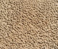 Seamless texture - rough dried clay