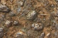 Seamless texture of sand with cracks and pebbles Royalty Free Stock Photo