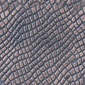 Seamless texture of the skin. Crocodile skin