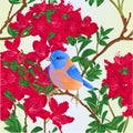 Seamless texture small bird songbirdon Bluebird thrush and red rhododendron nature background vintage vector illustration editable